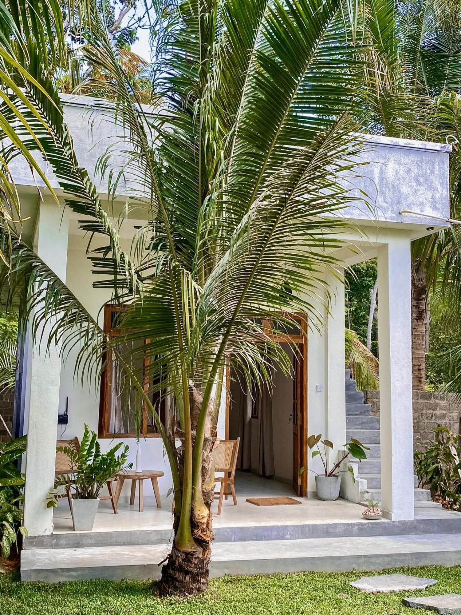 The Palm Private Cottages Мидигама-Ист Экстерьер фото